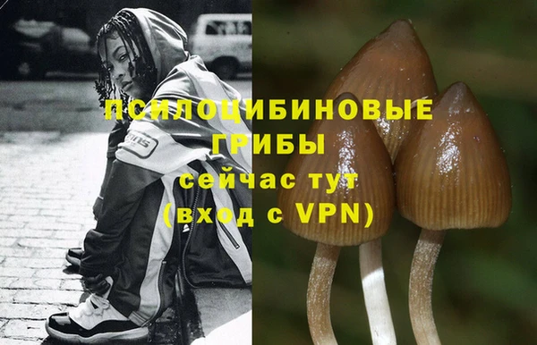 метамфетамин Михайловск