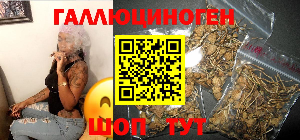 Галлюциногенные грибы мицелий Маркс