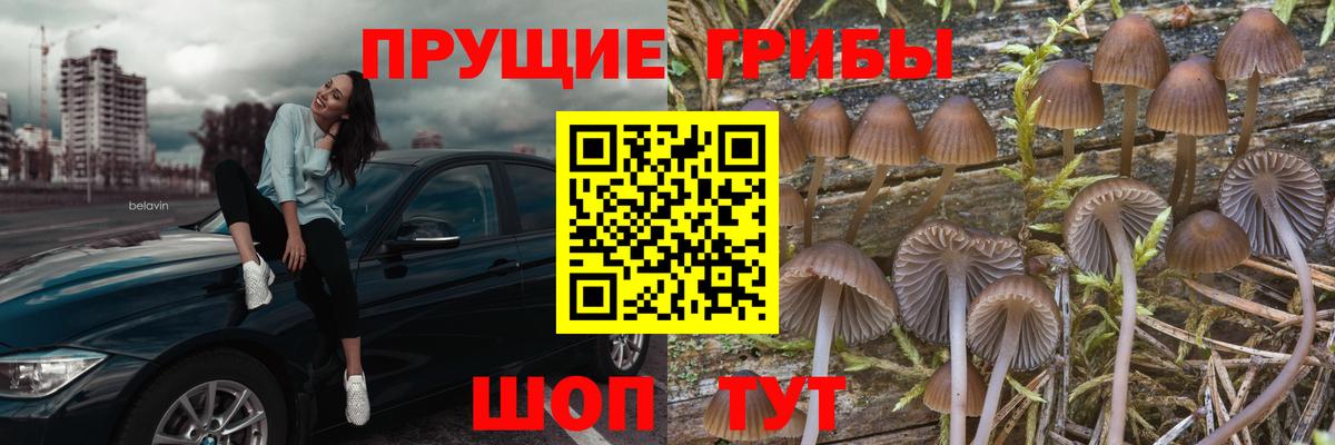 наркотики  Маркс  Галлюциногенные грибы ЛСД 